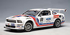 2007 Ford Mustang Challenge FR500S #00 (AUTOart) 1/18